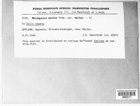Image Associated With the Occurence